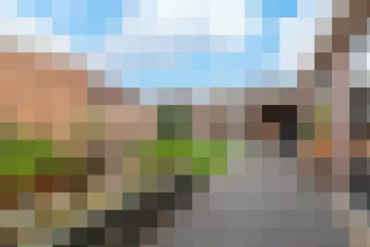 Eikenlaan 7 Renswoude thumbnail 47