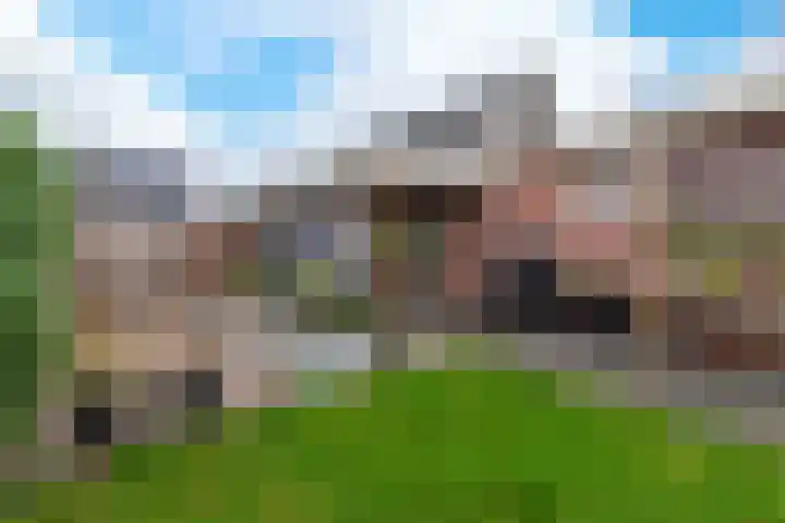 Eikenlaan 7 Renswoude thumbnail 49