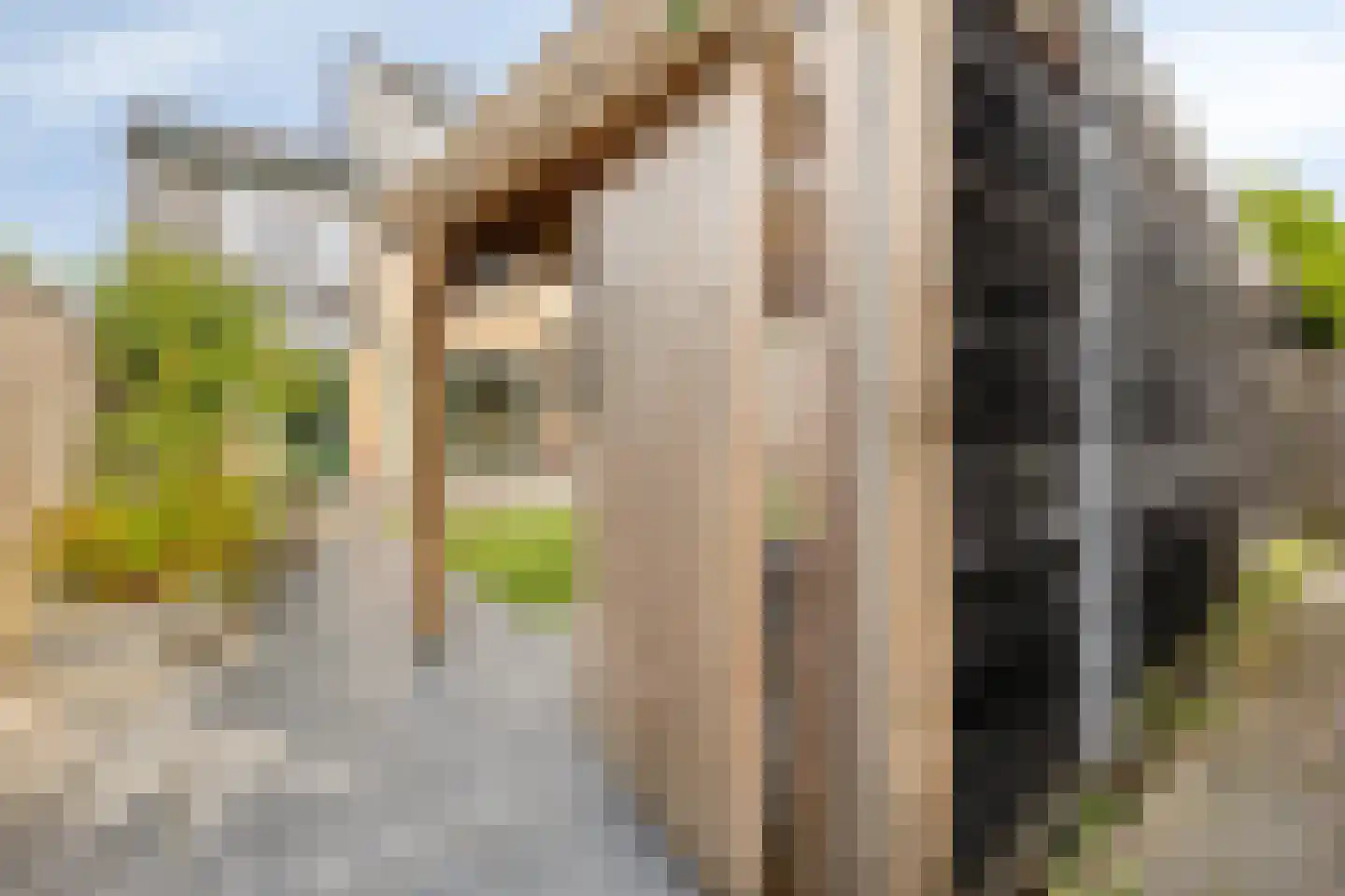 Eikenlaan 7 Sint Pancras thumbnail 44