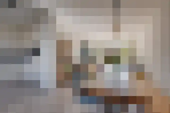 Eikenlaan 73 Borculo thumbnail 10