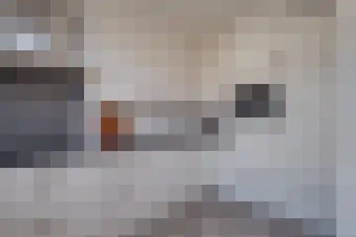 Eikenlaan 73 Borculo thumbnail 12