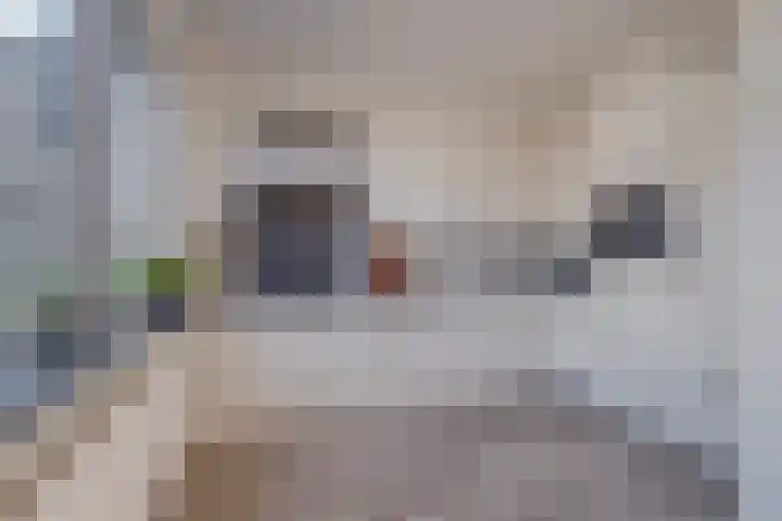 Eikenlaan 73 Borculo thumbnail 5