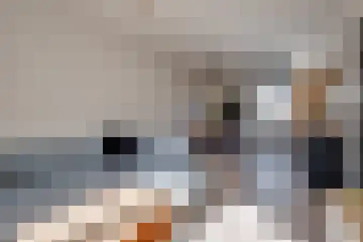 Eikenlaan 73 Borculo thumbnail 8
