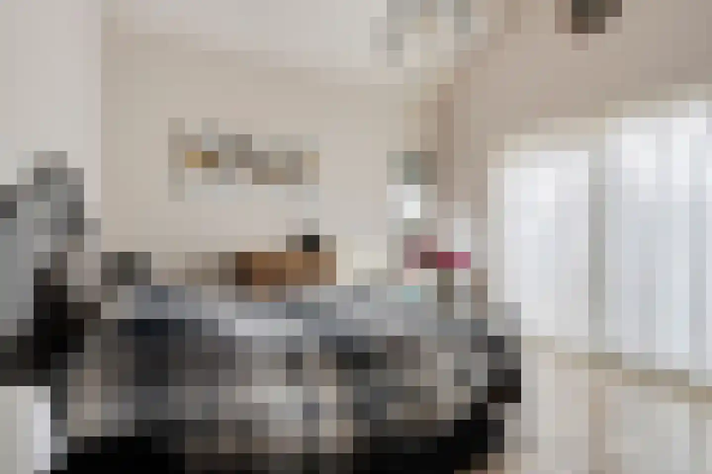 Eikenlaan 75 Koewacht thumbnail 11