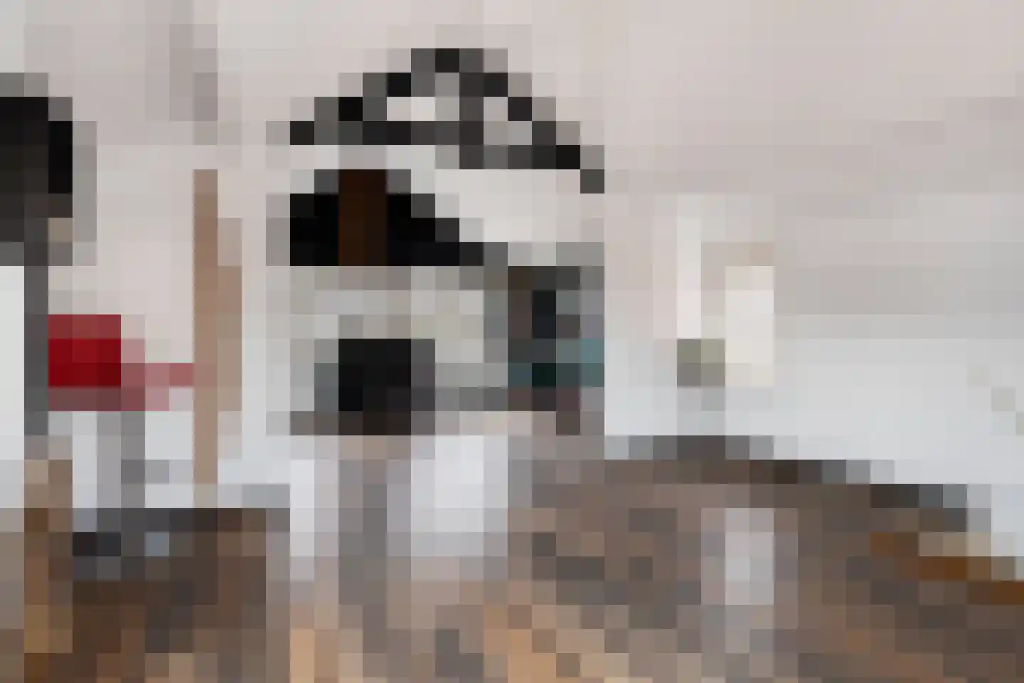 Eikenlaan 75 Koewacht thumbnail 16
