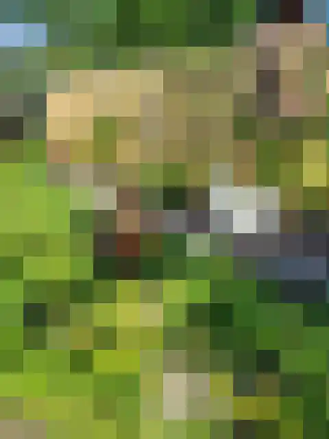 Eikenlaan 75 Koewacht thumbnail 32