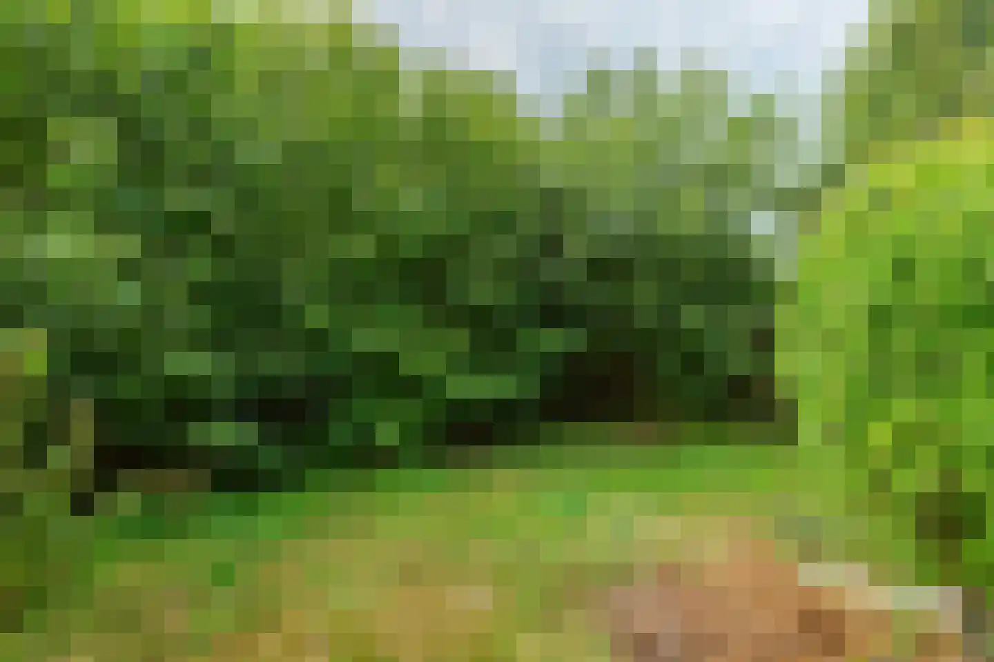 Eikenlaan 78 Wolvega thumbnail 31