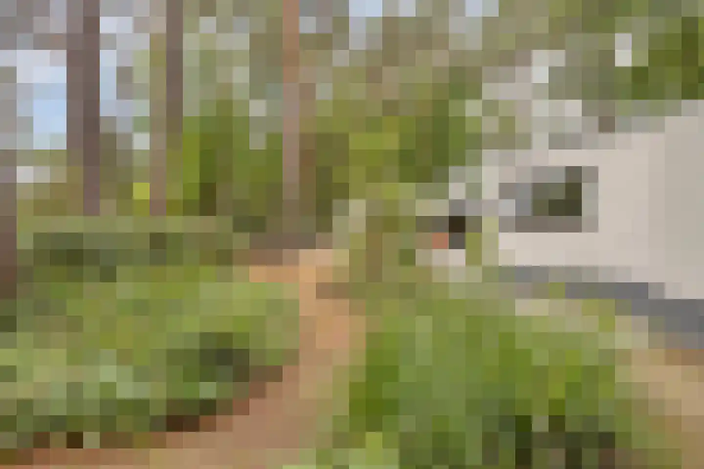 Eikenlaan 8 Goirle thumbnail 38