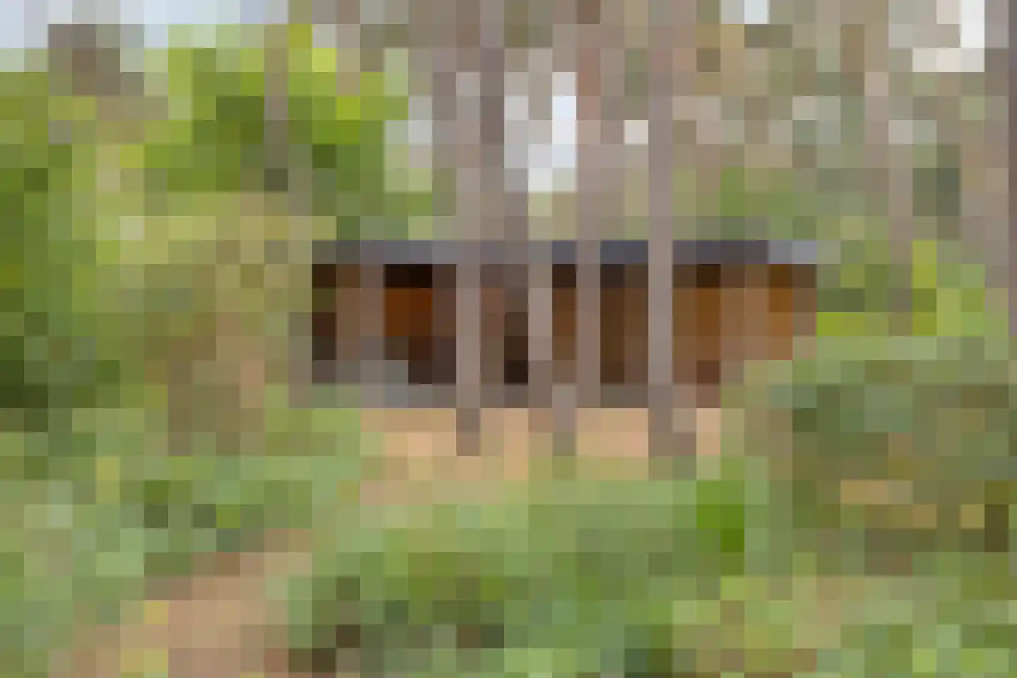 Eikenlaan 8 Goirle thumbnail 39