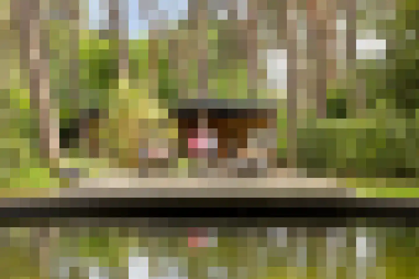 Eikenlaan 8 Goirle thumbnail 41
