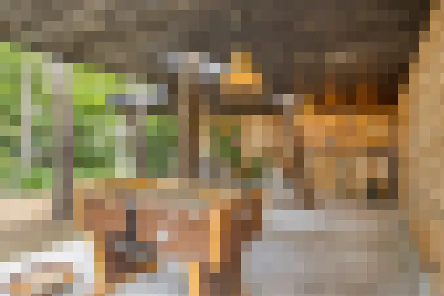 Eikenlaan 8 Goirle thumbnail 45