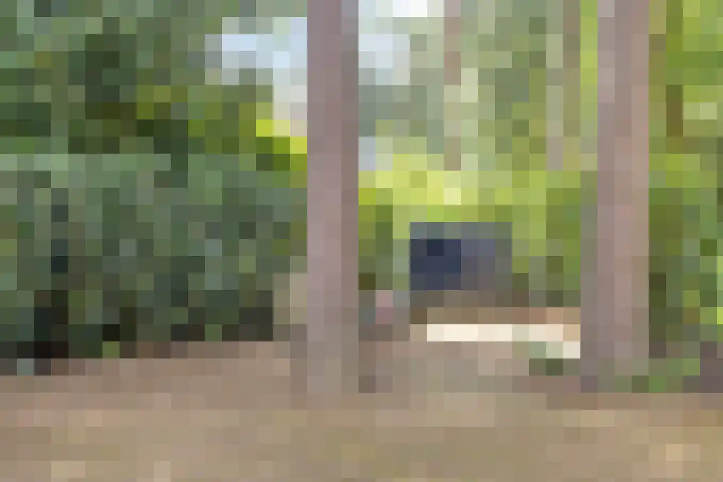 Eikenlaan 8 Goirle thumbnail 49