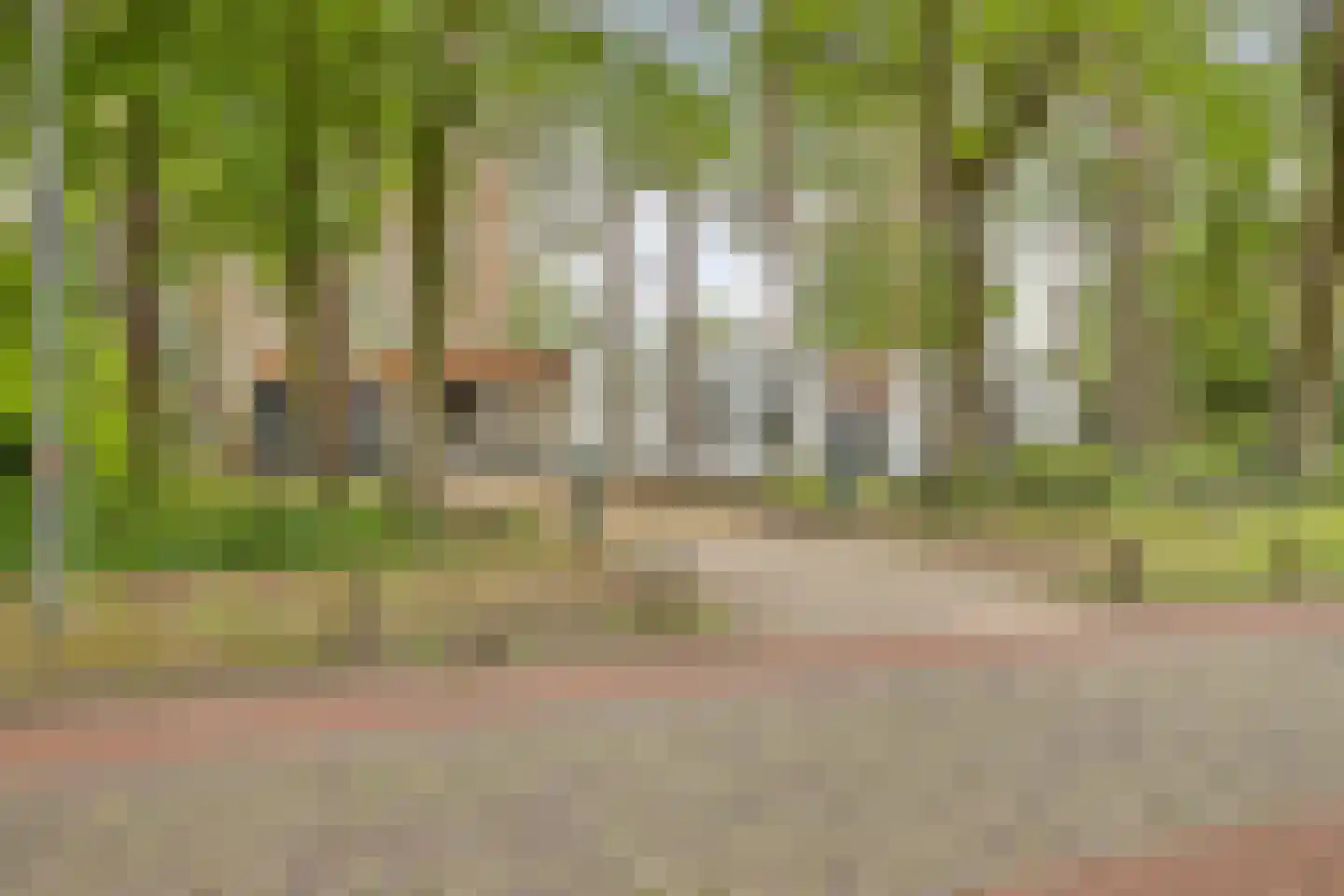 Eikenlaan 8 Goirle thumbnail 54