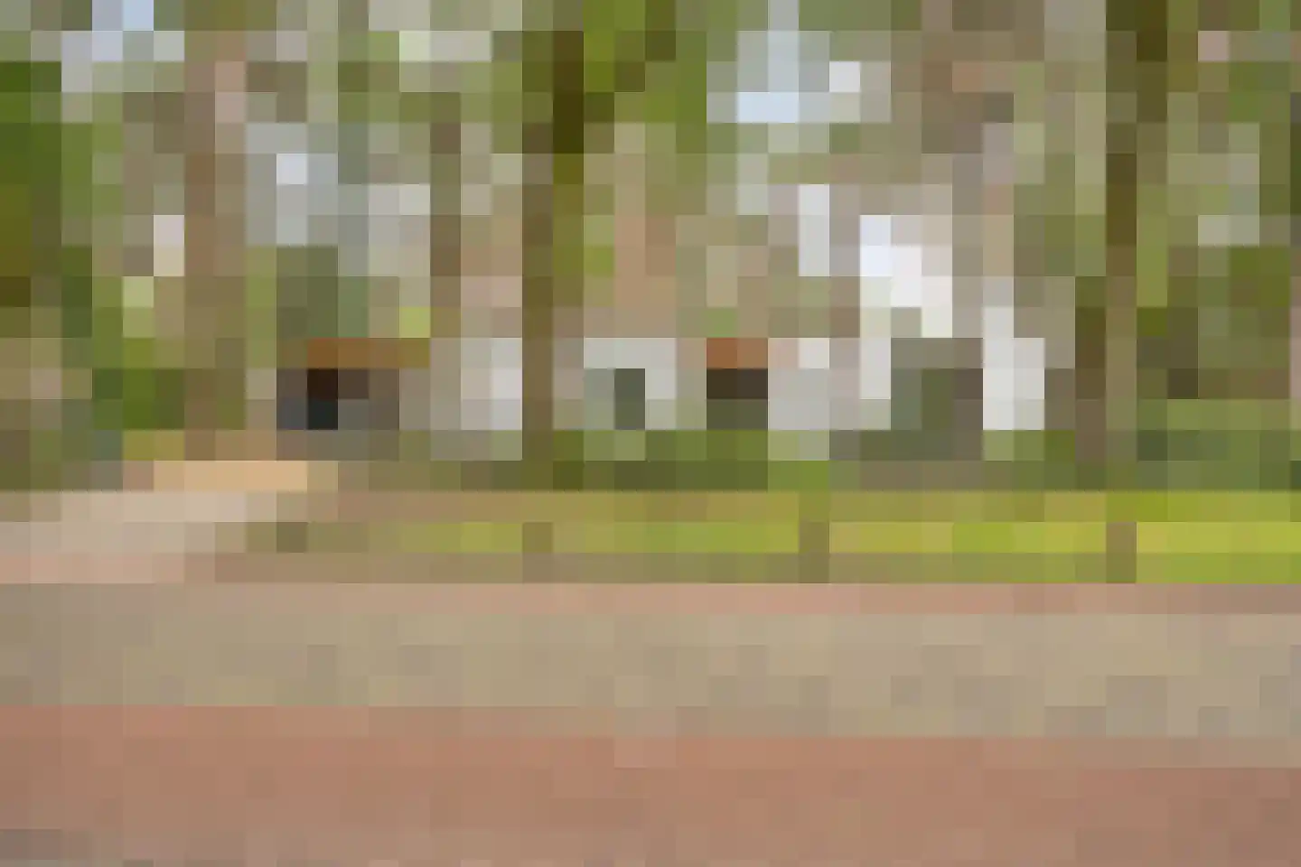 Eikenlaan 8 Goirle thumbnail 55