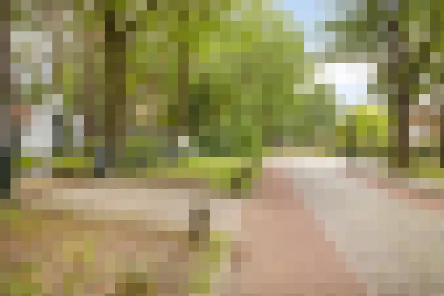 Eikenlaan 8 Goirle thumbnail 56