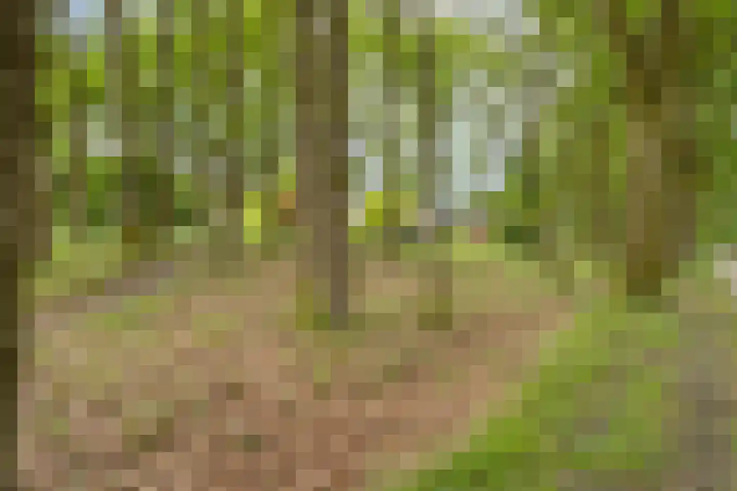 Eikenlaan 8 Goirle thumbnail 57