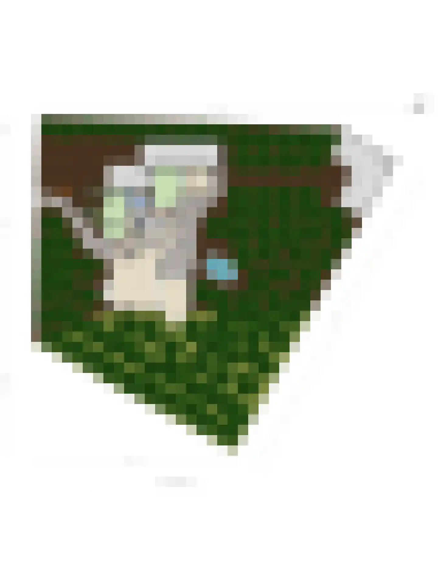 Eikenlaan 8 Goirle thumbnail 66