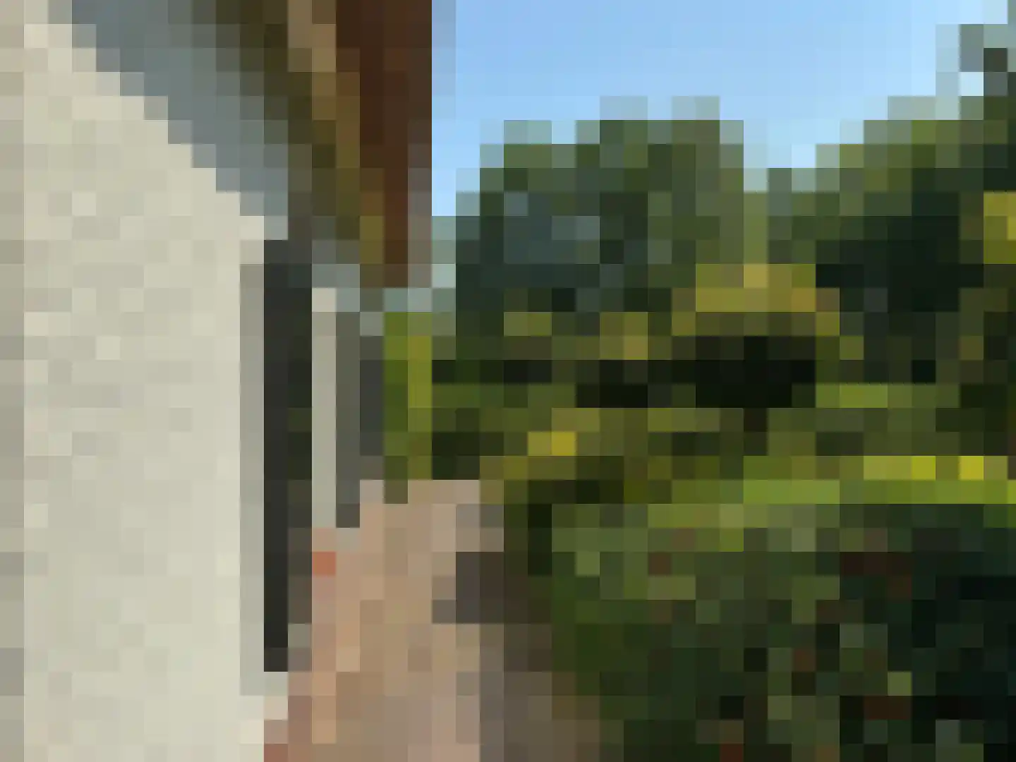 Eikenlaan 8 Heerde thumbnail 10
