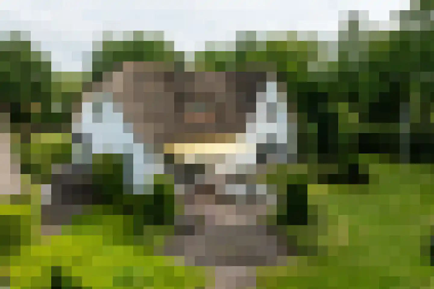 Eikenlaan 8 Heerde thumbnail 15