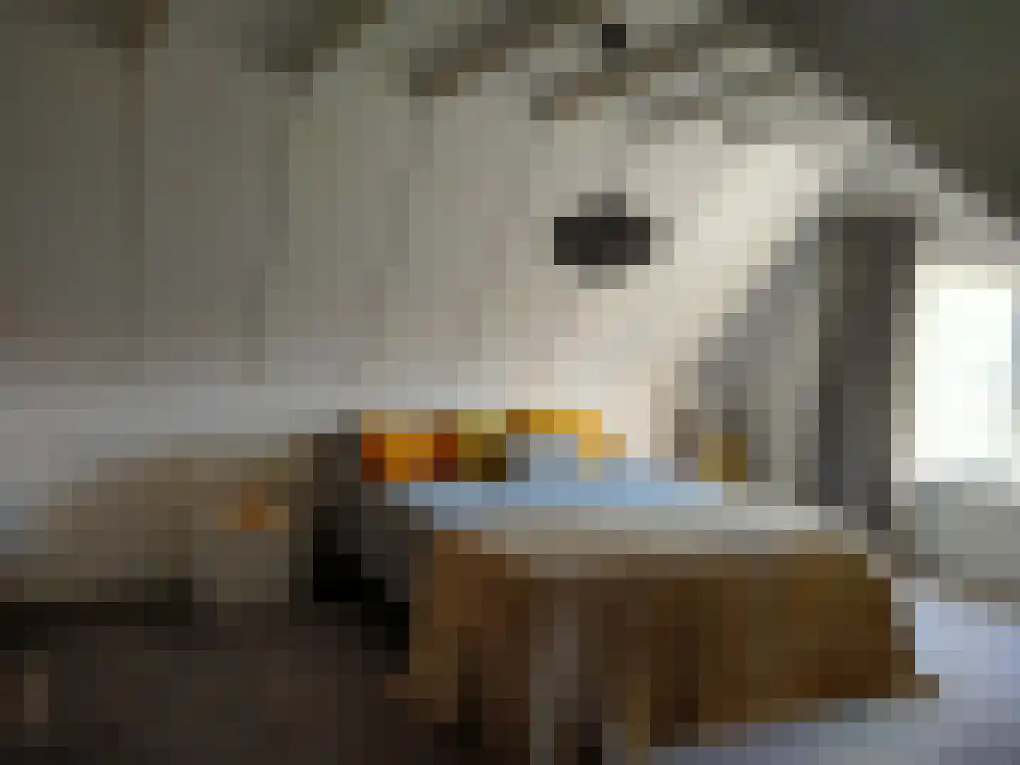 Eikenlaan 8 Heerde thumbnail 27