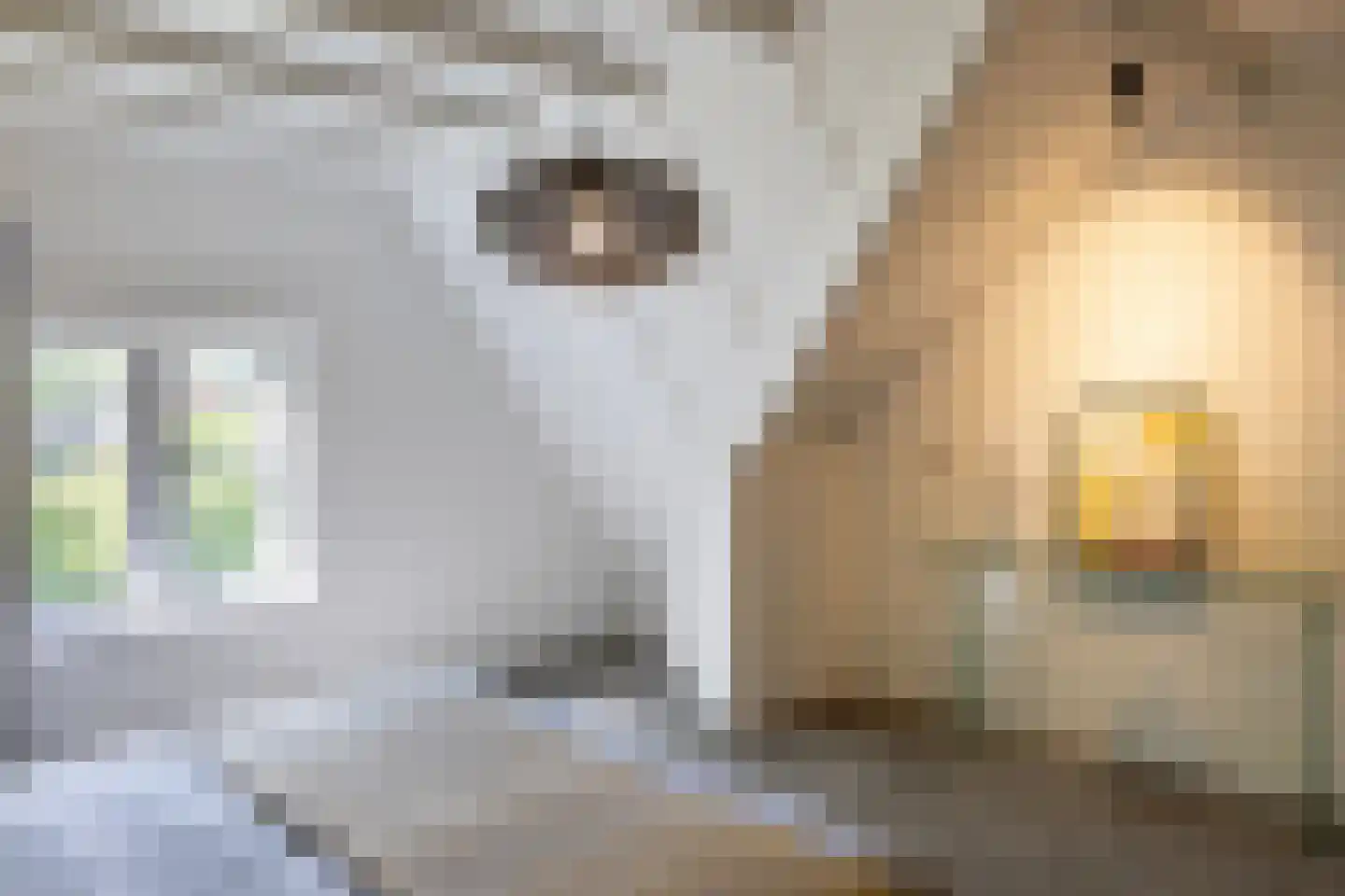 Eikenlaan 8 Heerde thumbnail 28