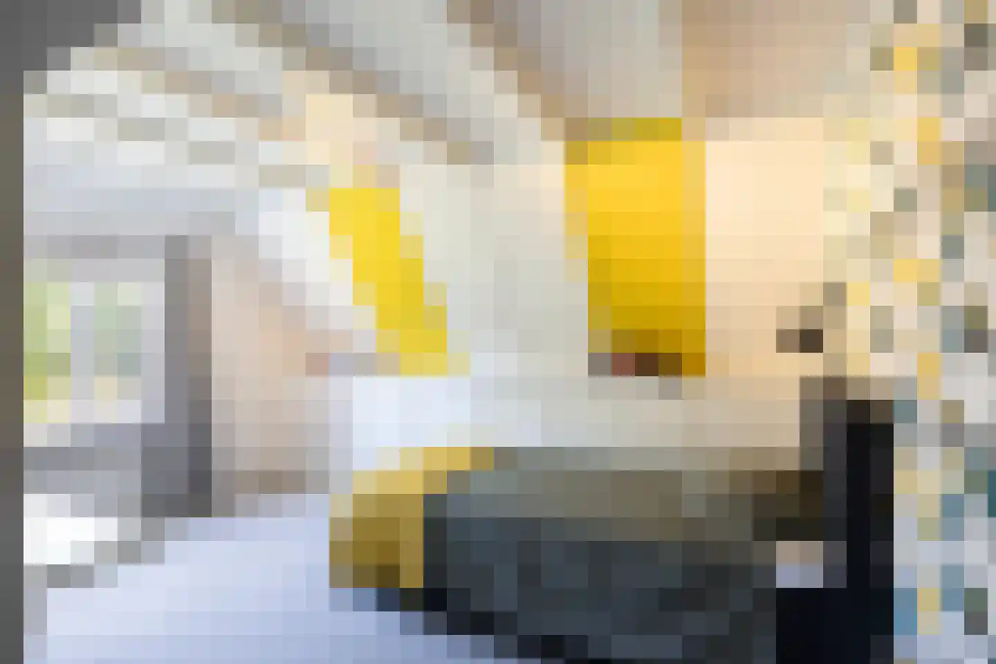 Eikenlaan 8 Heerde thumbnail 29