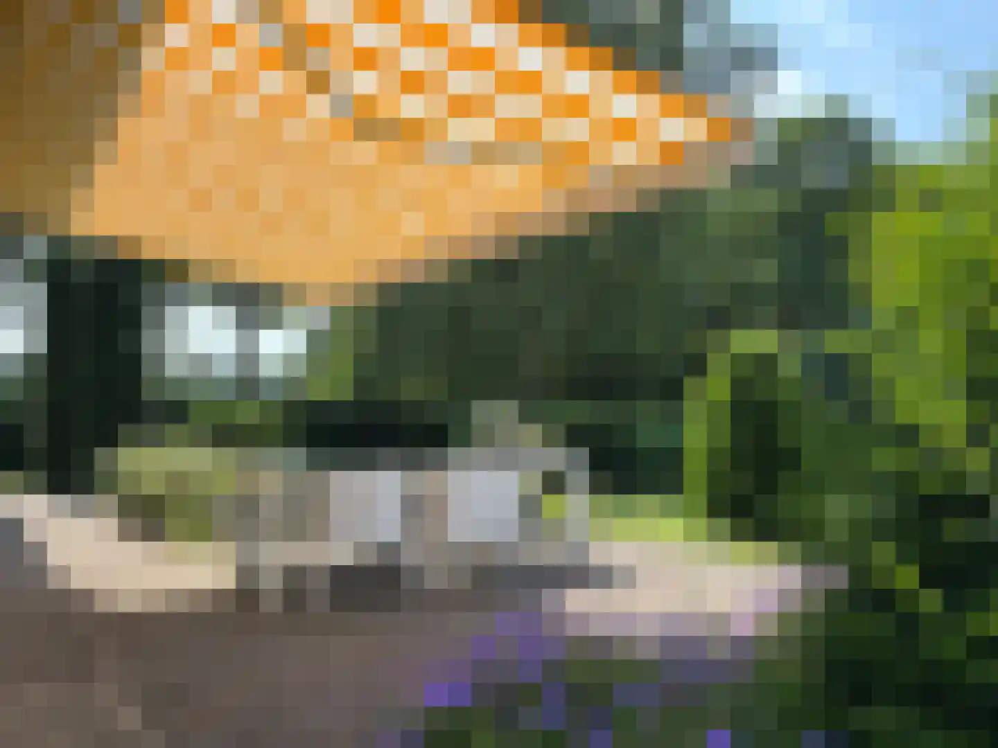 Eikenlaan 8 Heerde thumbnail 4