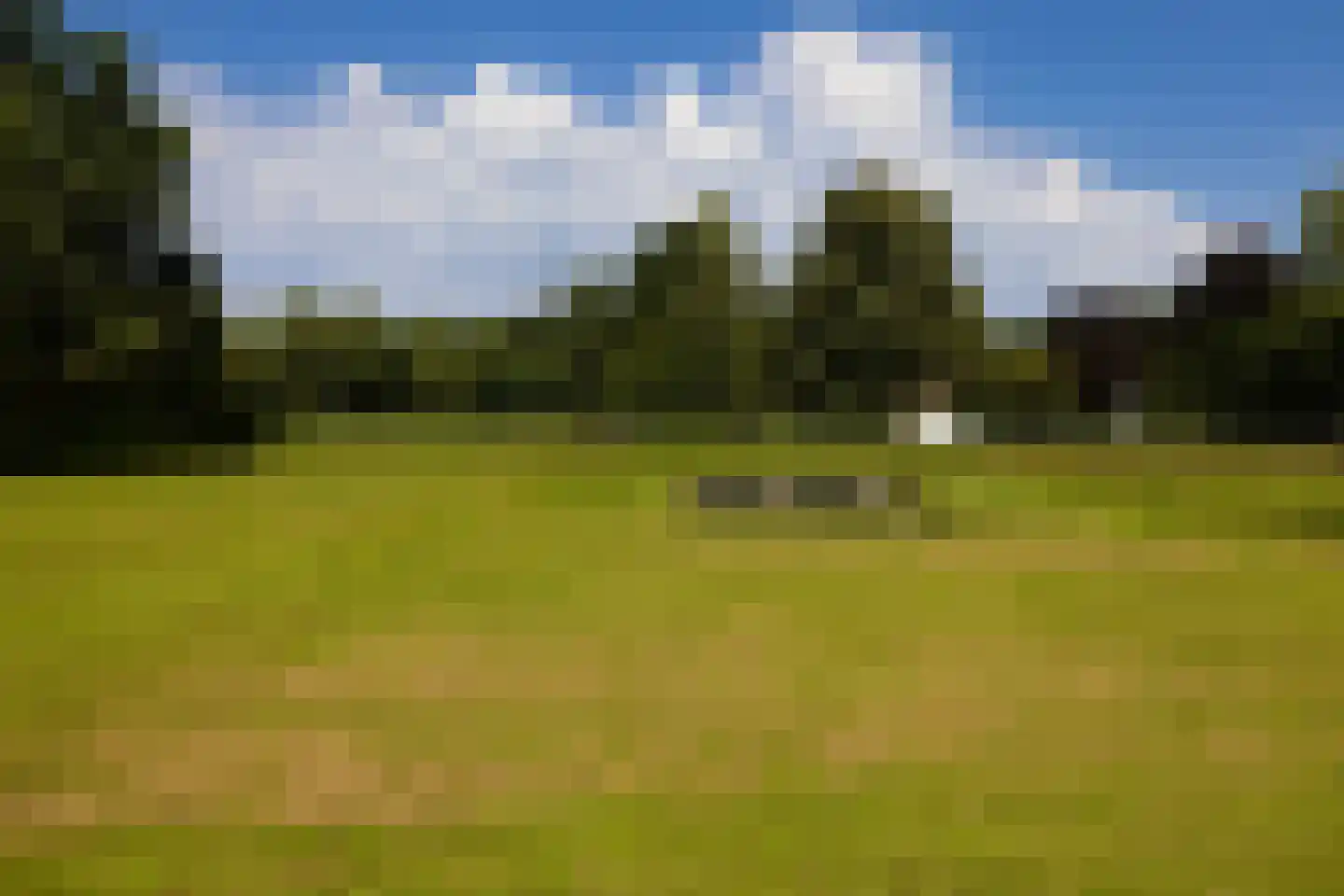 Eikenlaan 8 Heerde thumbnail 45