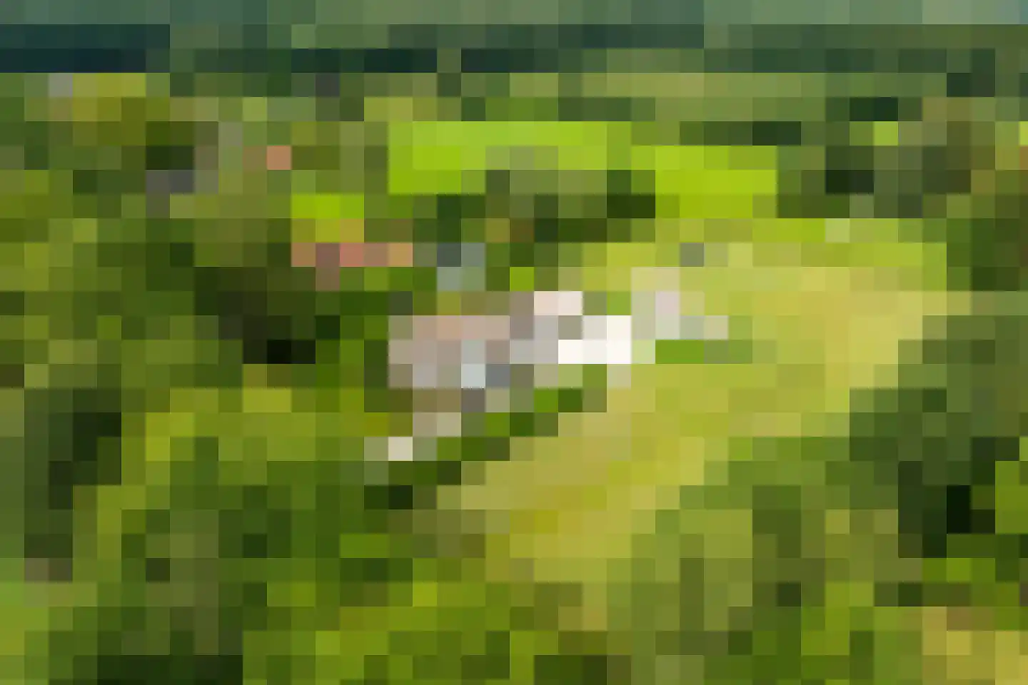 Eikenlaan 8 Heerde thumbnail 47
