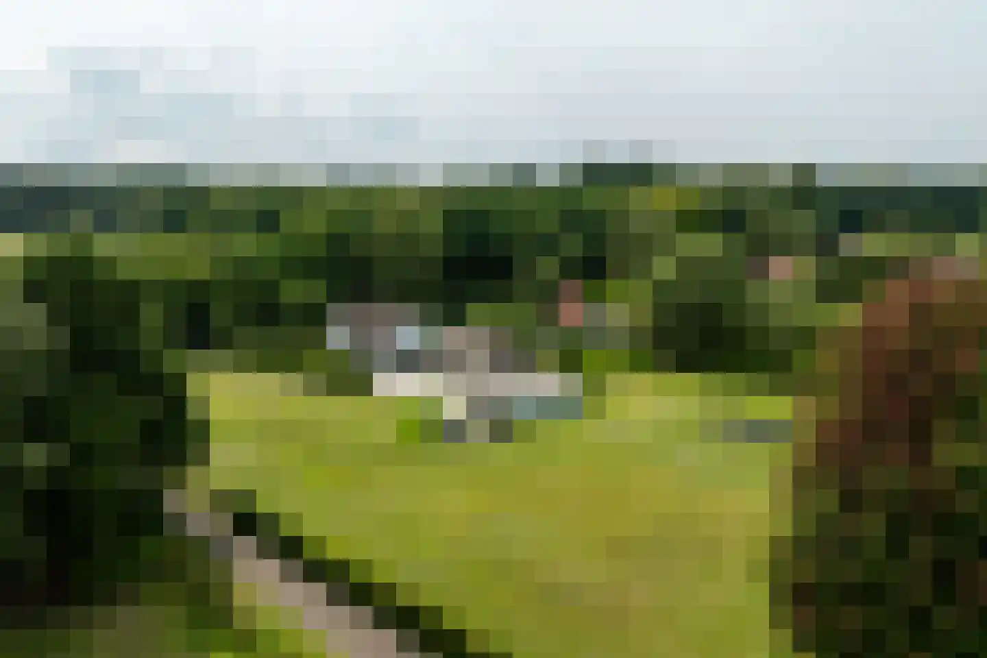 Eikenlaan 8 Heerde thumbnail 48
