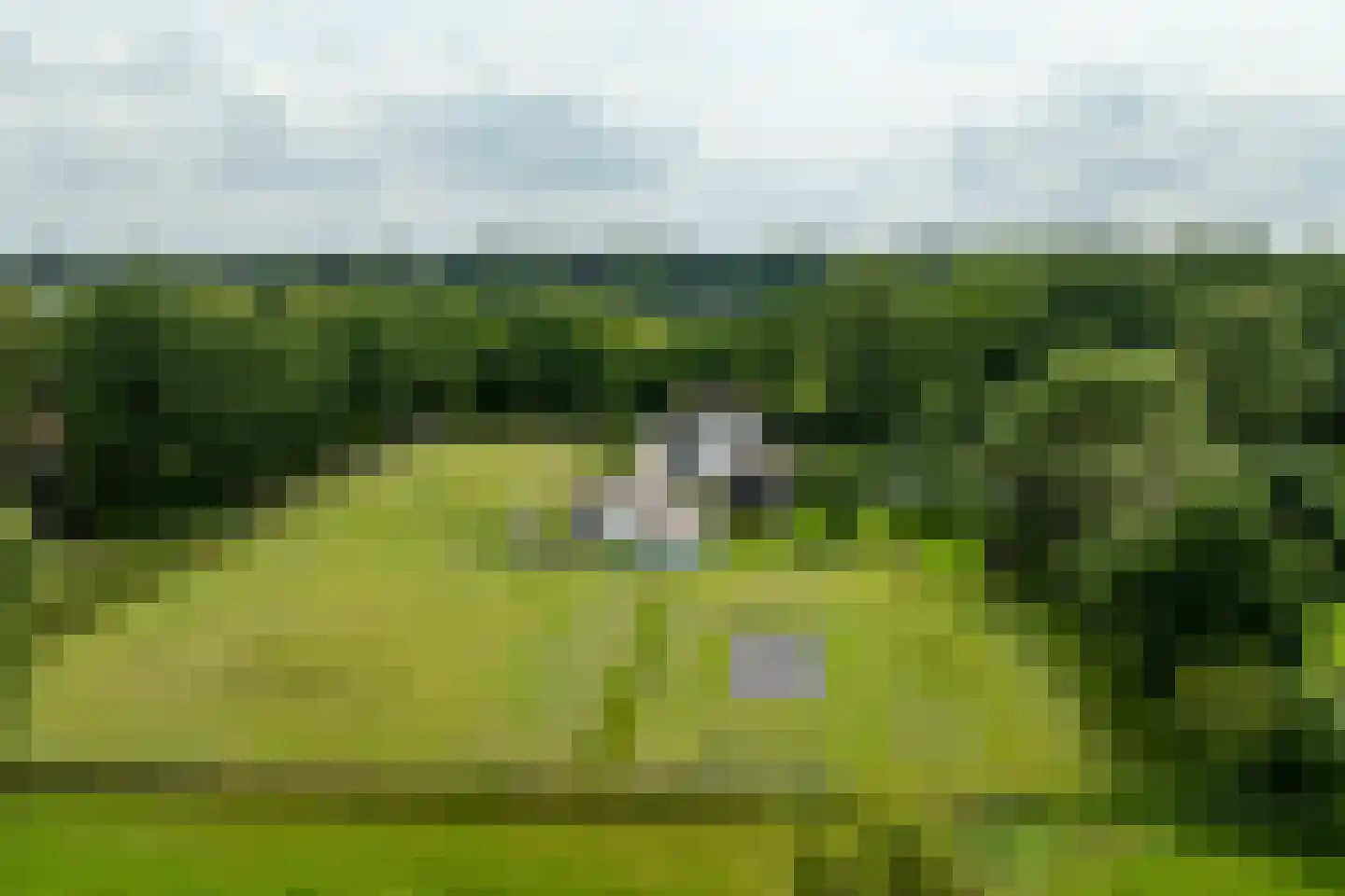 Eikenlaan 8 Heerde thumbnail 49