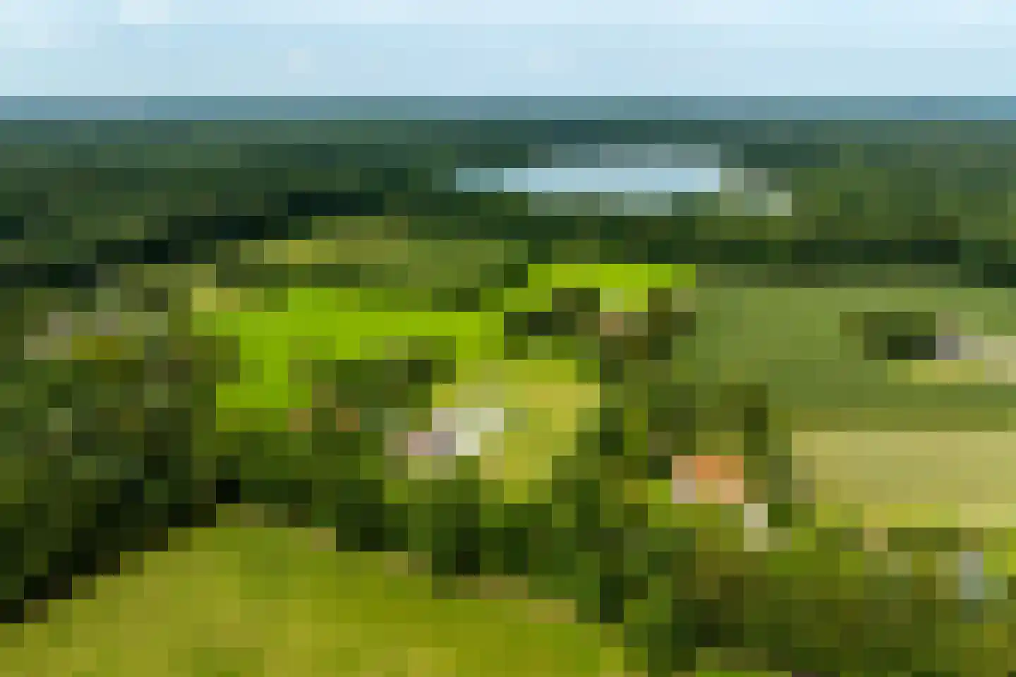 Eikenlaan 8 Heerde thumbnail 5