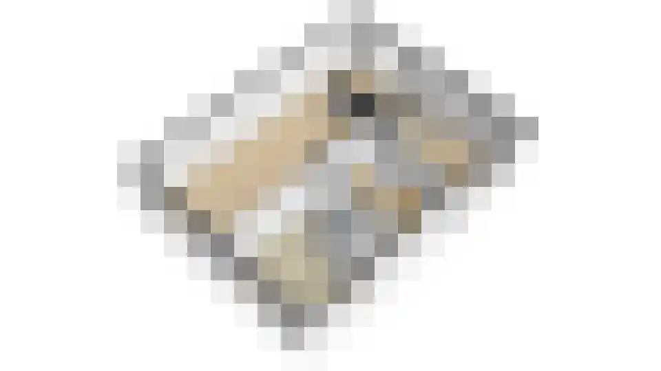 Eikenlaan 8 Heerde thumbnail 59