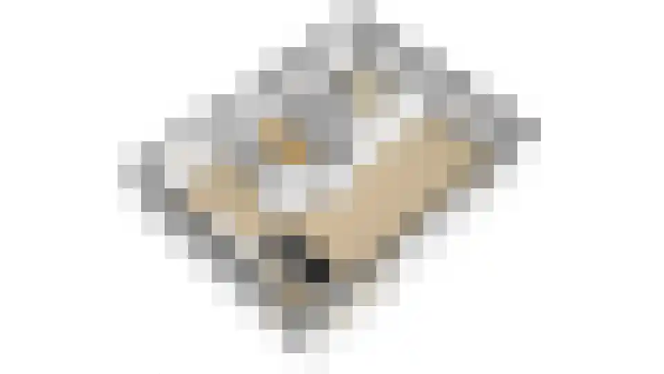 Eikenlaan 8 Heerde thumbnail 60