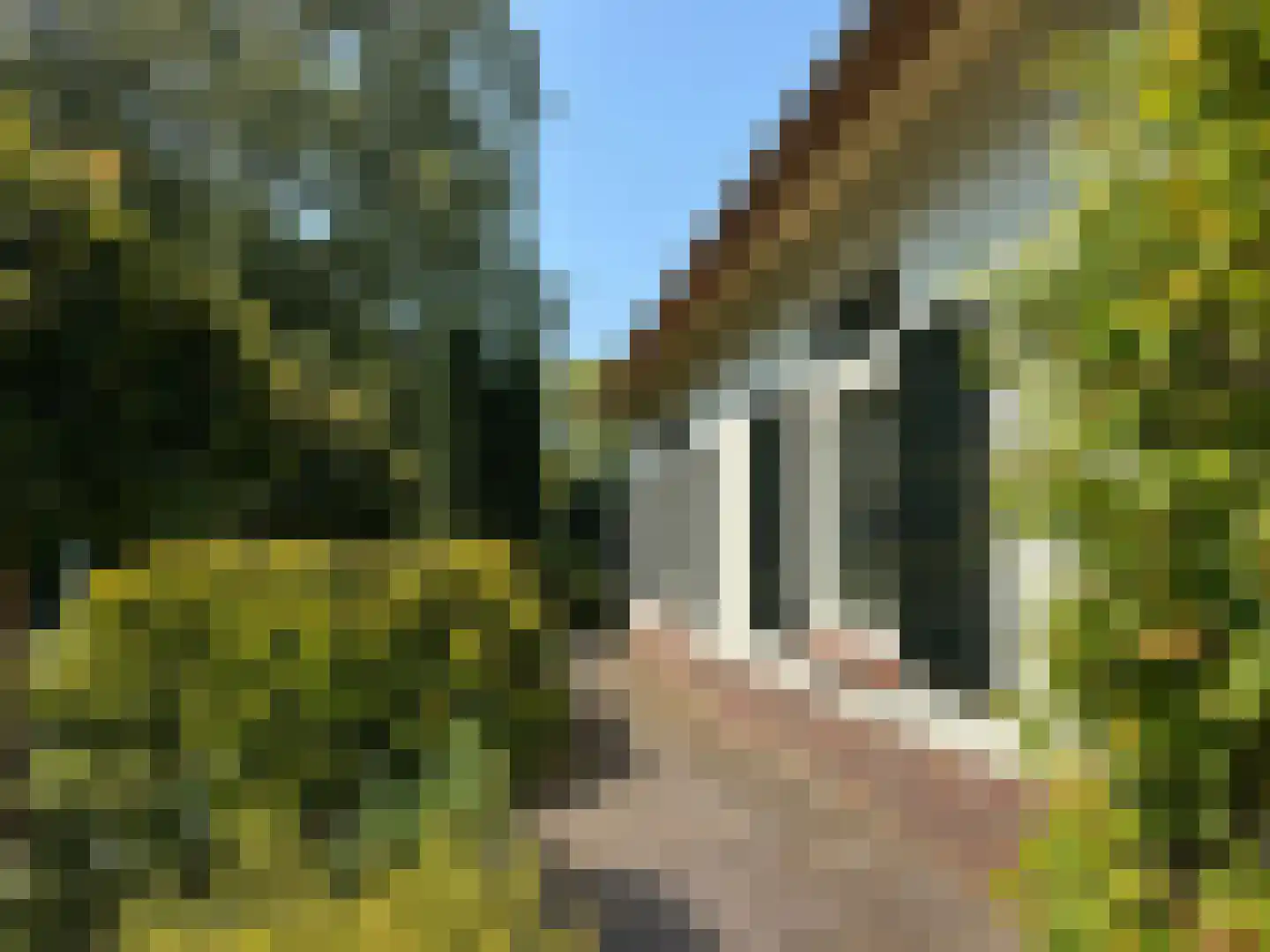 Eikenlaan 8 Heerde thumbnail 9