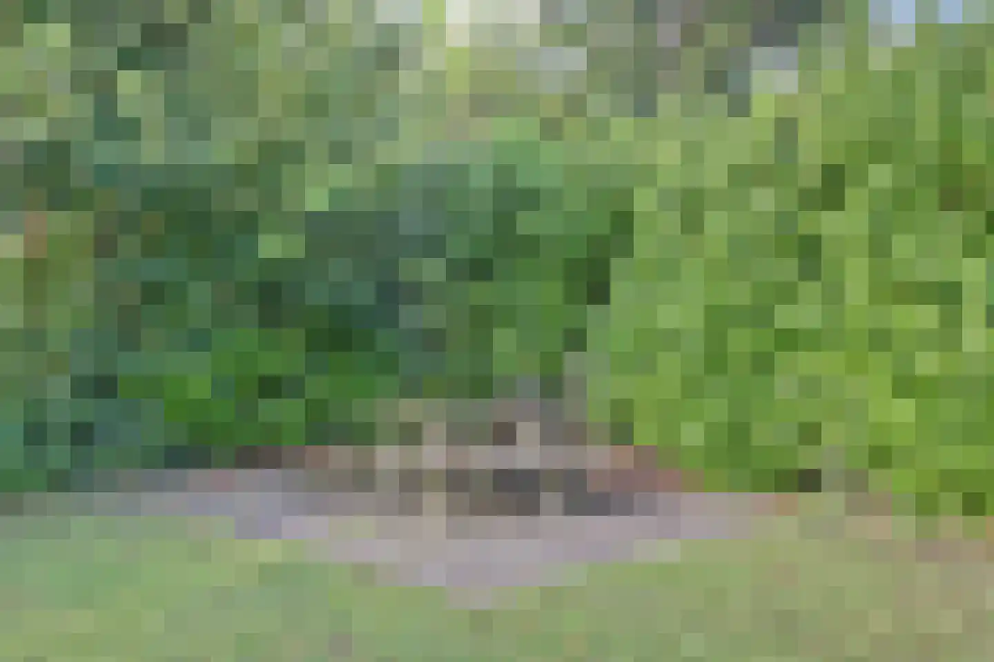 Eikenlaan 8 Kamperland thumbnail 21