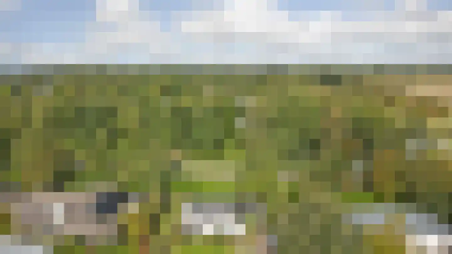 Eikenlaan 8 Kamperland thumbnail 24