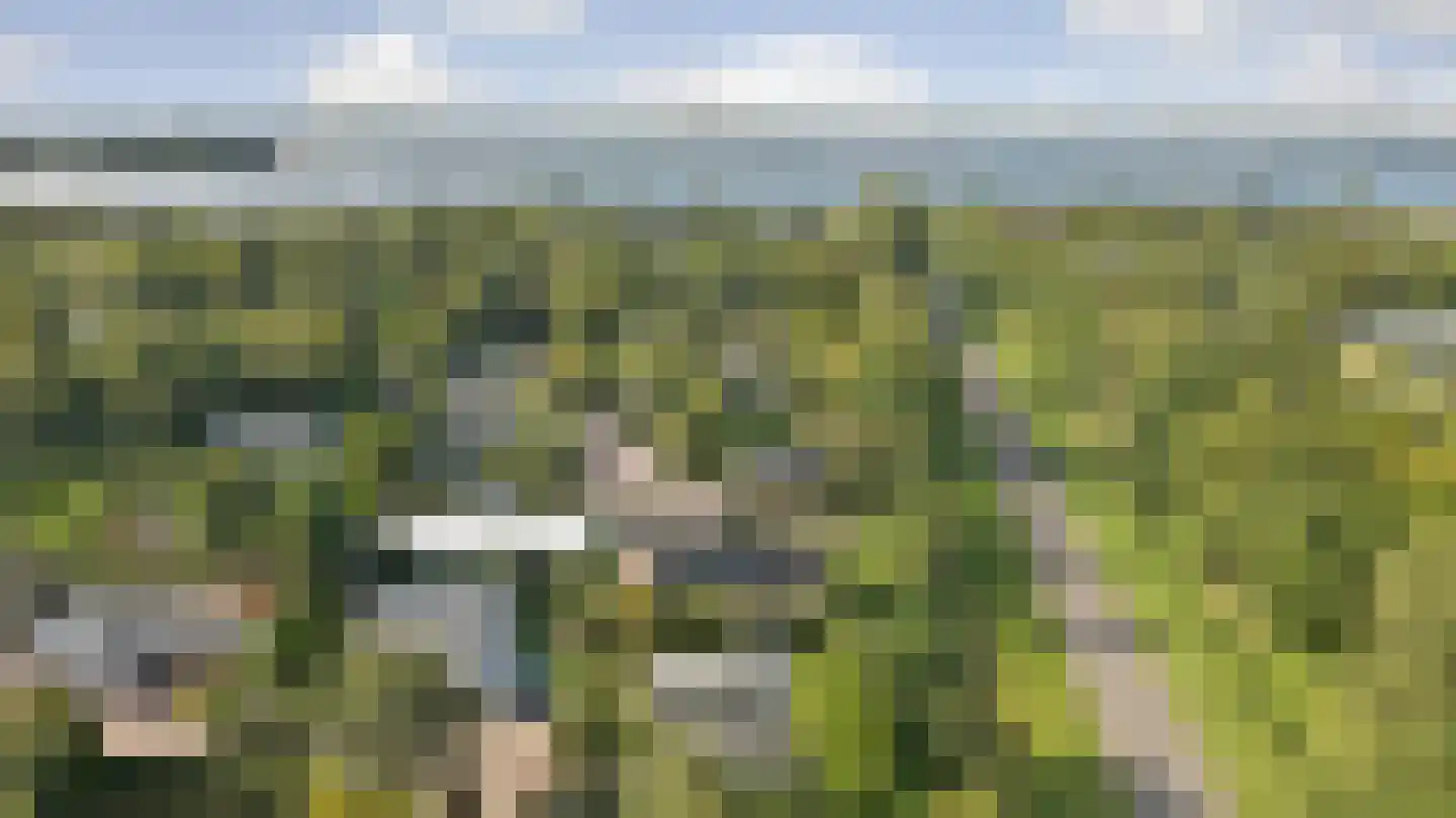 Eikenlaan 8 Kamperland thumbnail 26