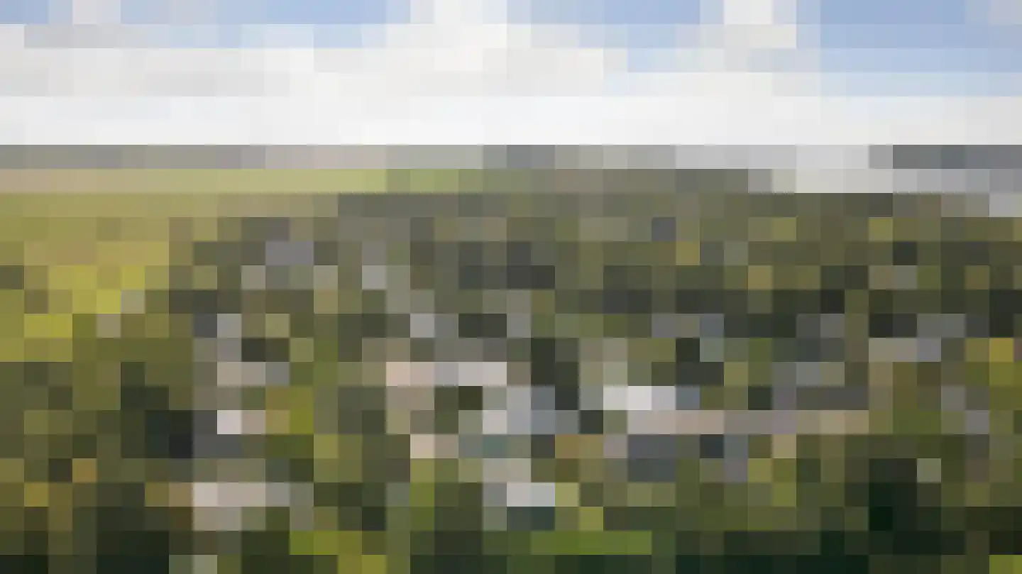 Eikenlaan 8 Kamperland thumbnail 27