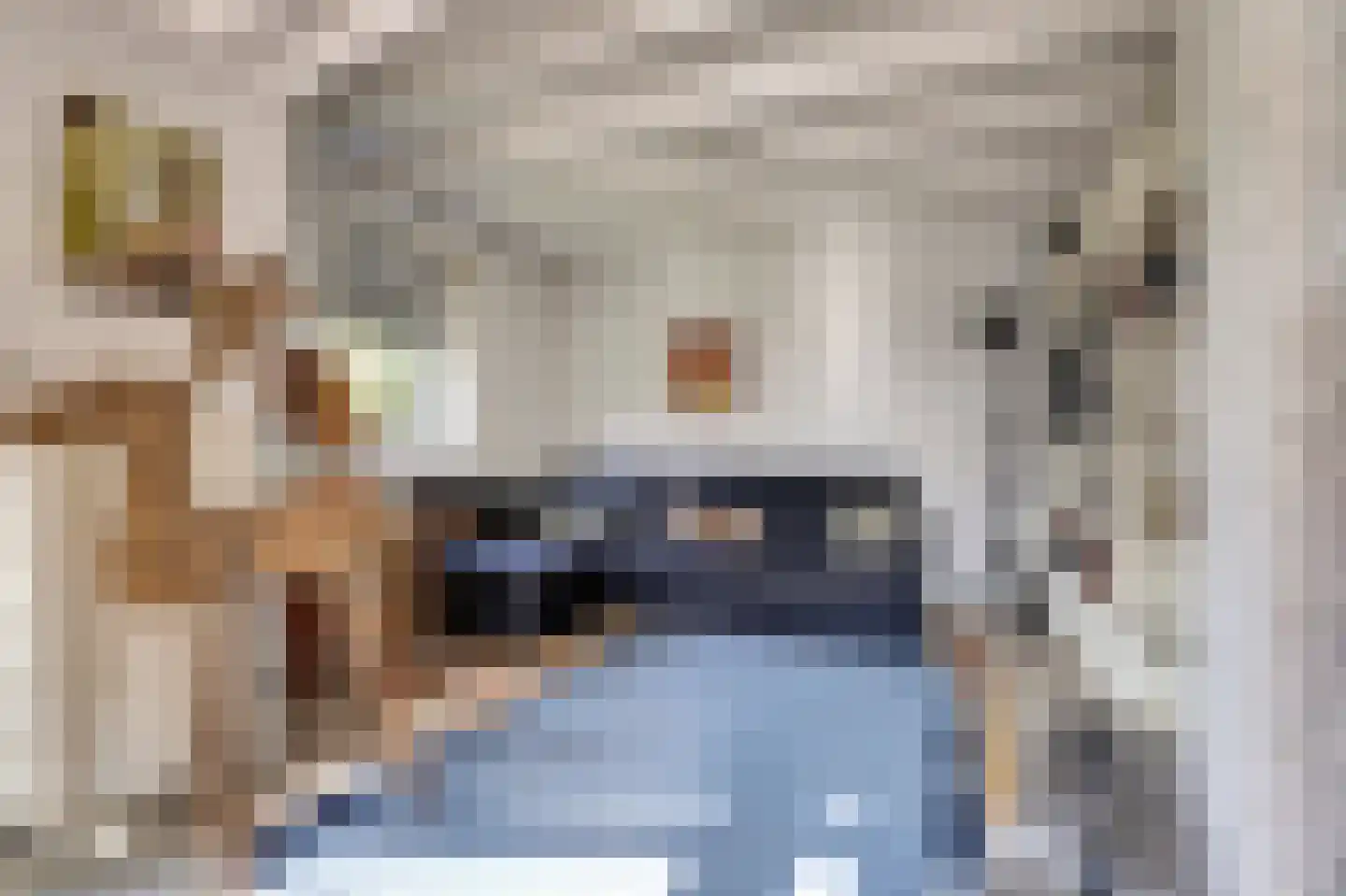 Eikenlaan 8 Kamperland thumbnail 8