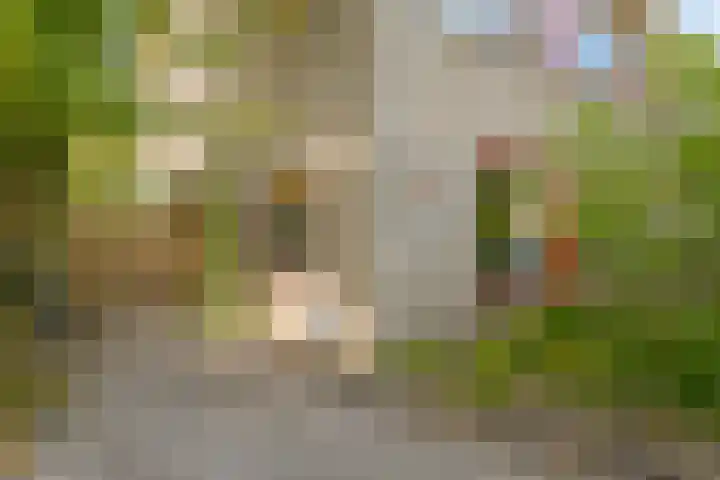 Eikenlaan 8 Peize thumbnail 10