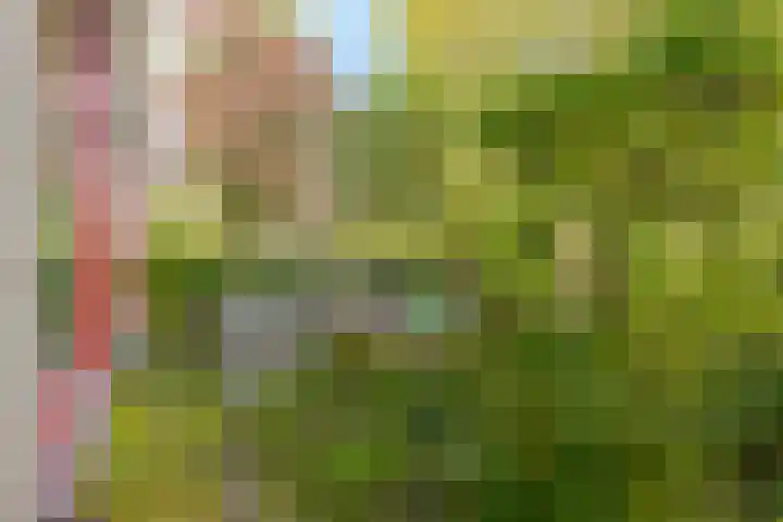 Eikenlaan 8 Peize thumbnail 11