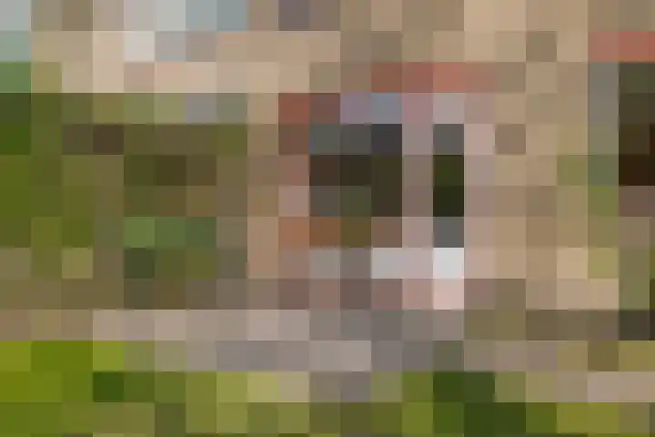Eikenlaan 8 Peize thumbnail 45