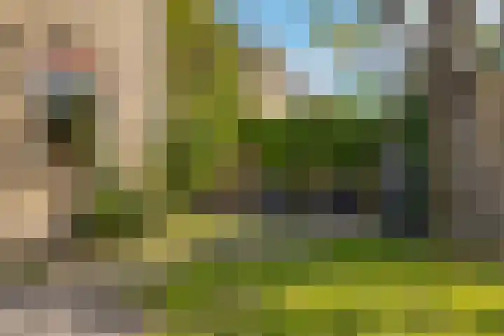 Eikenlaan 8 Peize thumbnail 46