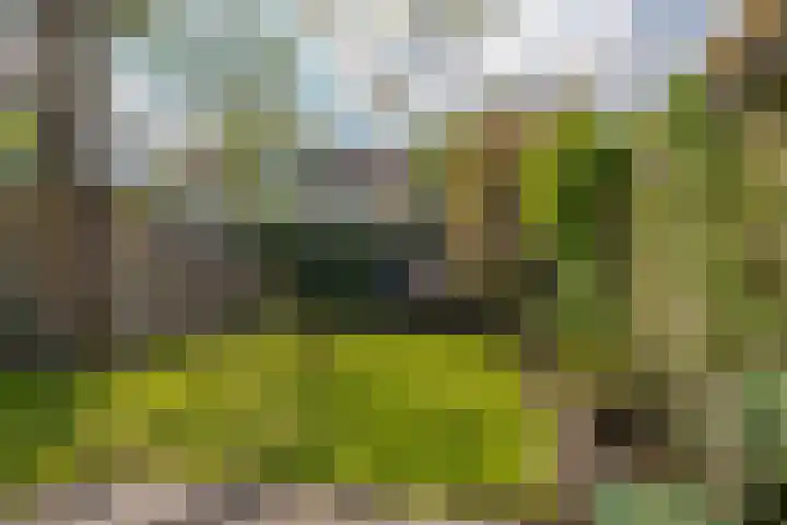 Eikenlaan 8 Peize thumbnail 47