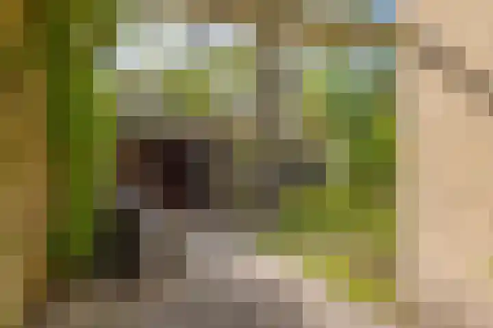Eikenlaan 8 Peize thumbnail 48