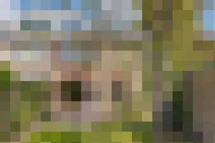 Eikenlaan 8 Peize thumbnail 5