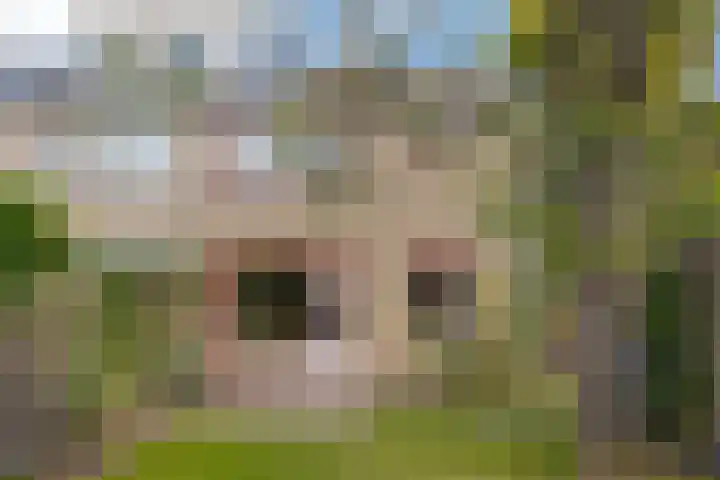 Eikenlaan 8 Peize thumbnail 51