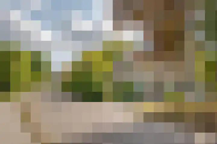 Eikenlaan 8 Peize thumbnail 6