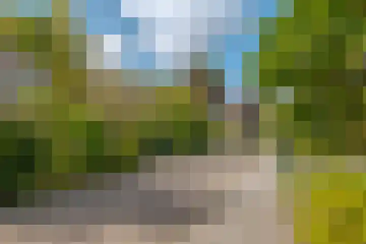 Eikenlaan 8 Peize thumbnail 7